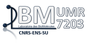ENS-LBM – UMR7203